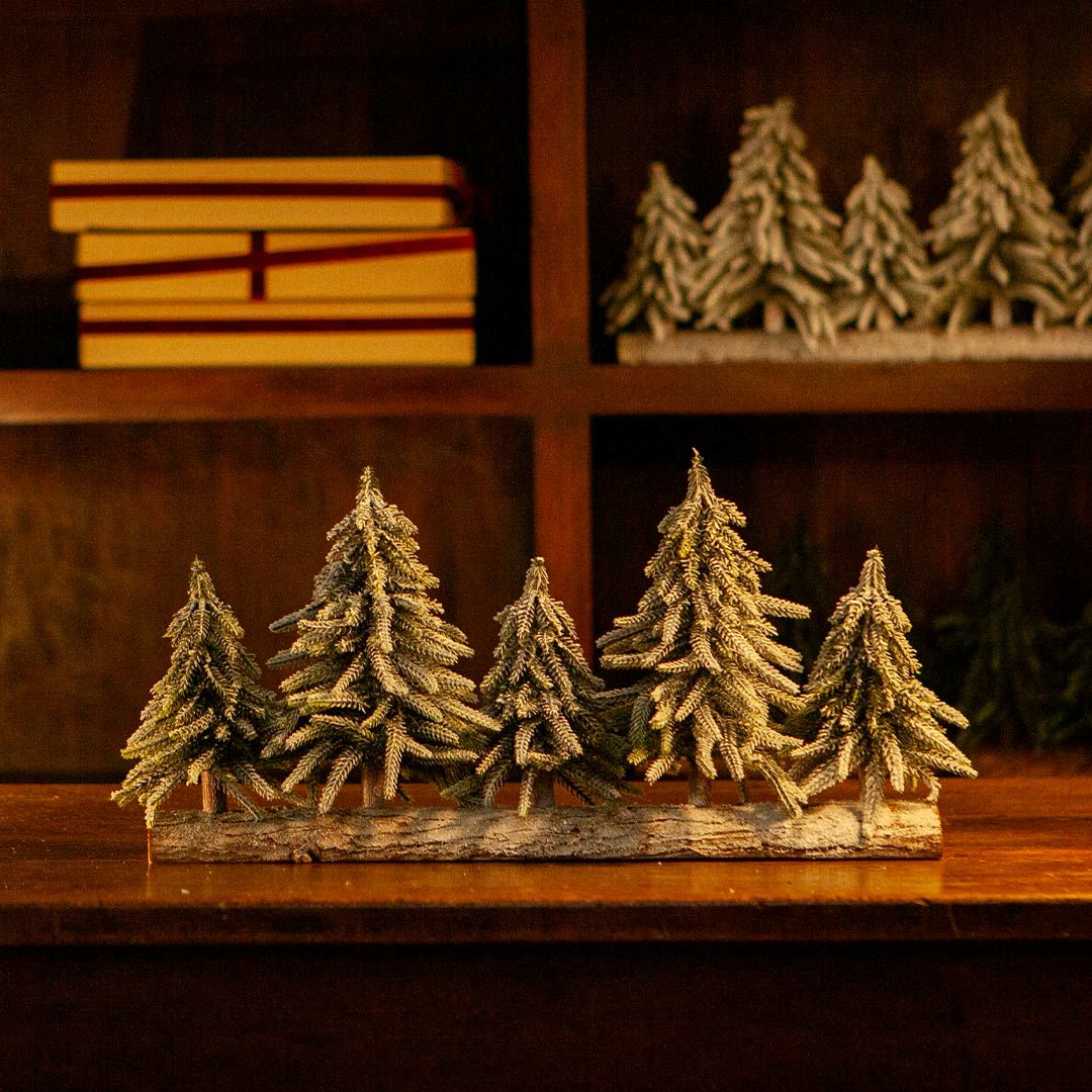 DULTON > エバーグリーン フォレスト 5 LINE M