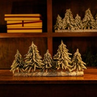 DULTON > エバーグリーン フォレスト 5 LINE M