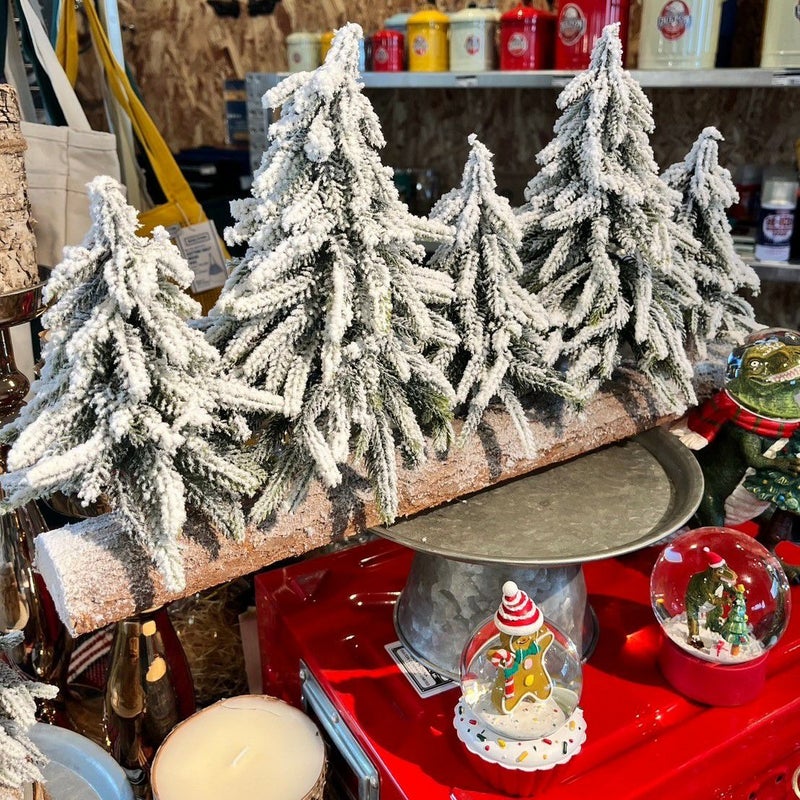 DULTON > エバーグリーン フォレスト 5 LINE M