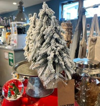 DULTON > エバーグリーン フォレスト 5 LINE M