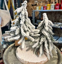 DULTON > エバーグリーン フォレスト ROUND S