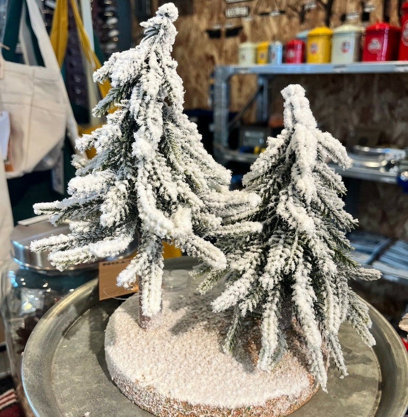 DULTON > エバーグリーン フォレスト ROUND S