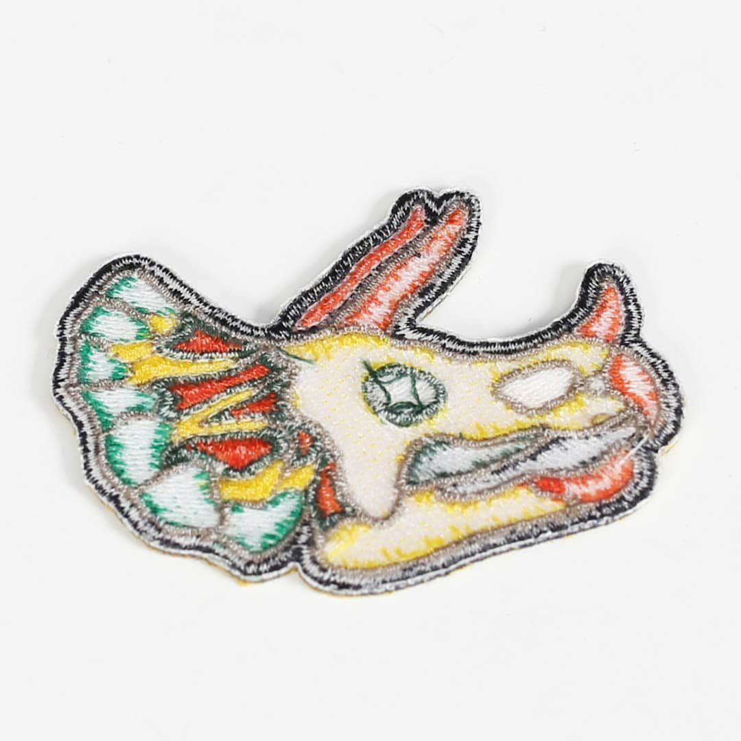 ダイナソー ワッペン 【D2 TRICERATOPS】