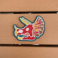 ダイナソー ワッペン 【D3 TRICERATOPS】