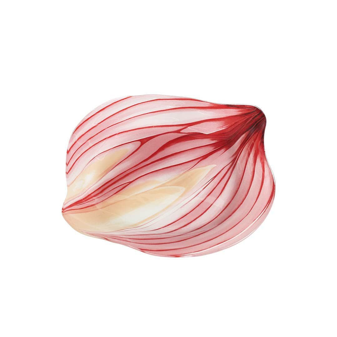 DULTON > ガラス ファーマー プレート　【ONION】