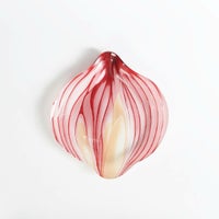 DULTON > ガラス ファーマー プレート　【ONION】