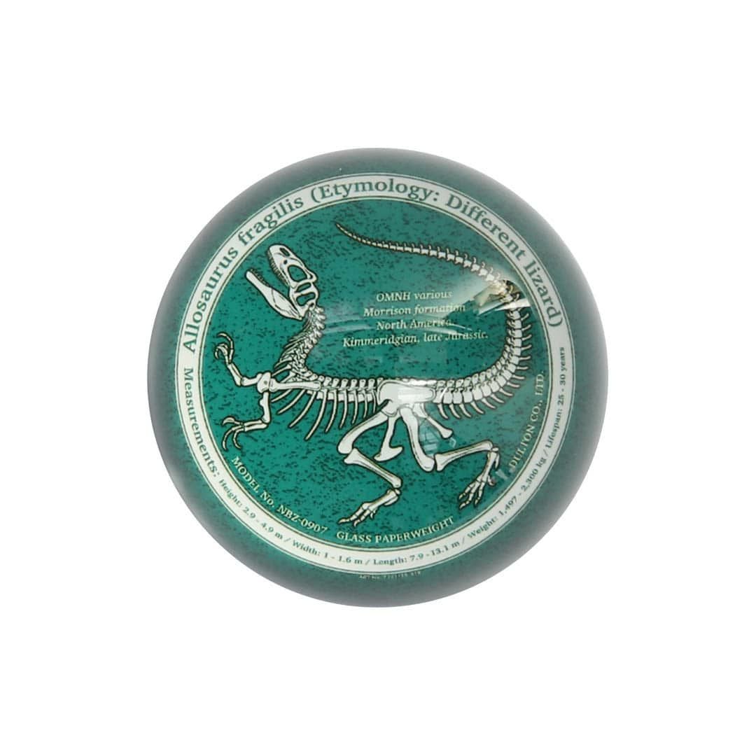 DULTON > グラス ペーパー ウェイト 【GLOW ALLOSAURUS】