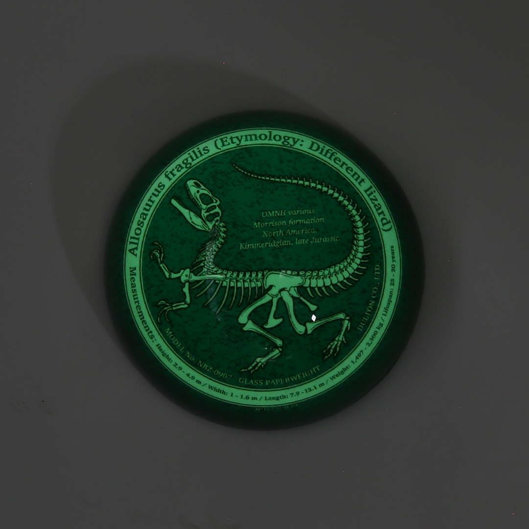 DULTON > グラス ペーパー ウェイト 【GLOW ALLOSAURUS】
